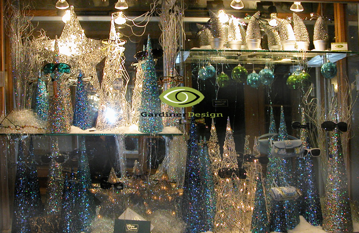 Premier Optical Winter Window Displays